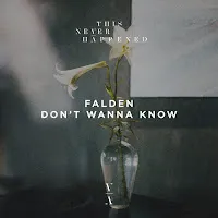 Falden — Don't Wanna Know — обложка